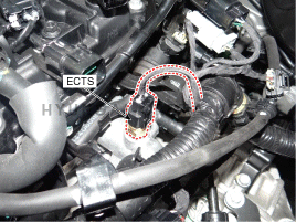 sgcfl5025l.gif