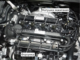 sgcfl5035l.gif