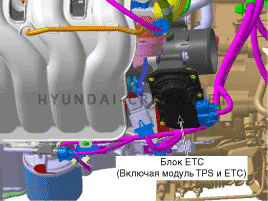 sgsfl70003r.gif