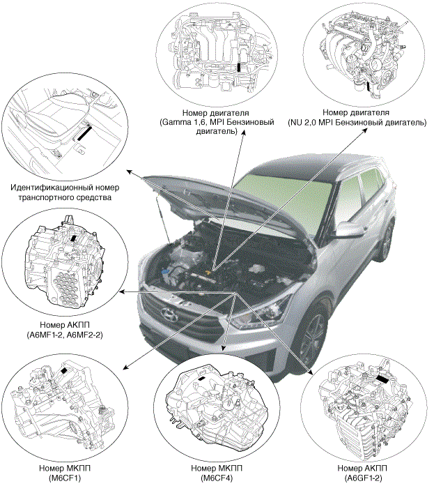 Идентификационные номера - Общие сведения - Hyundai Creta (Gs, Gsr)